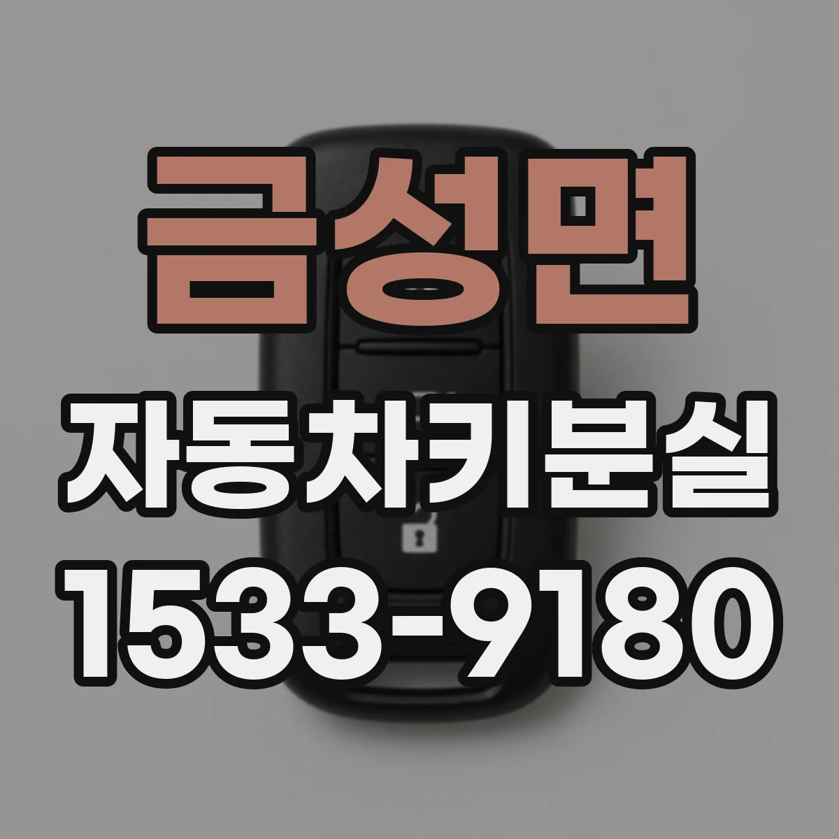 금성면 자동차키분실