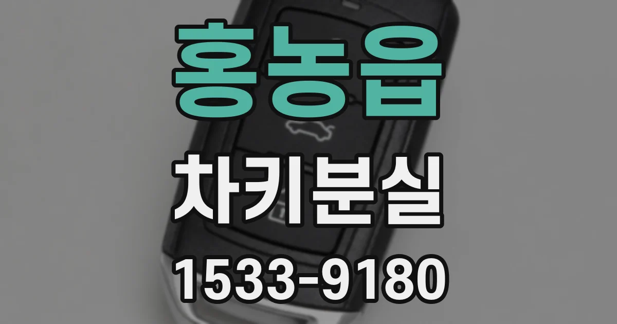 홍농읍 차키분실