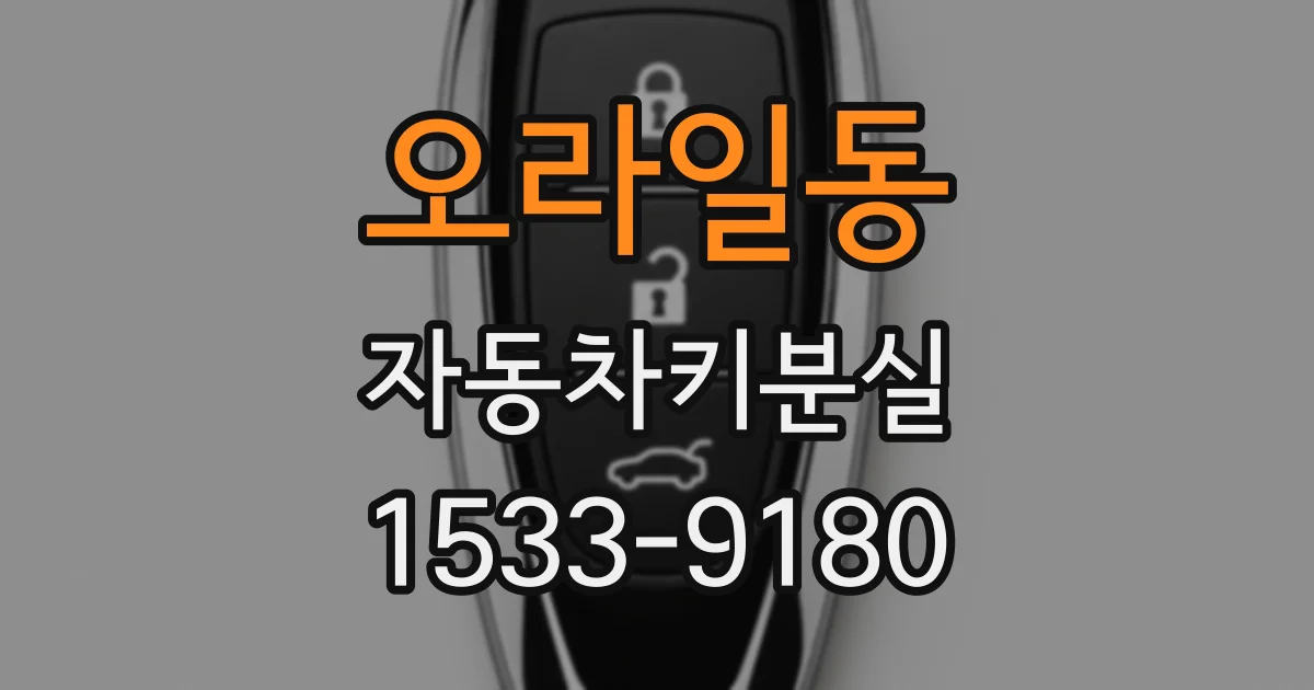 오라일동 자동차키분실