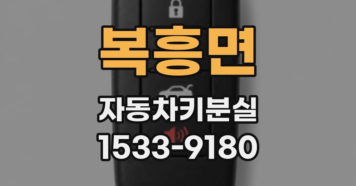 복흥면 자동차키분실