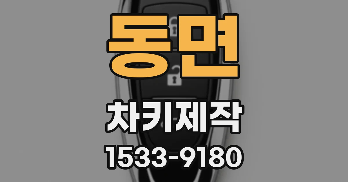 동면 차키제작