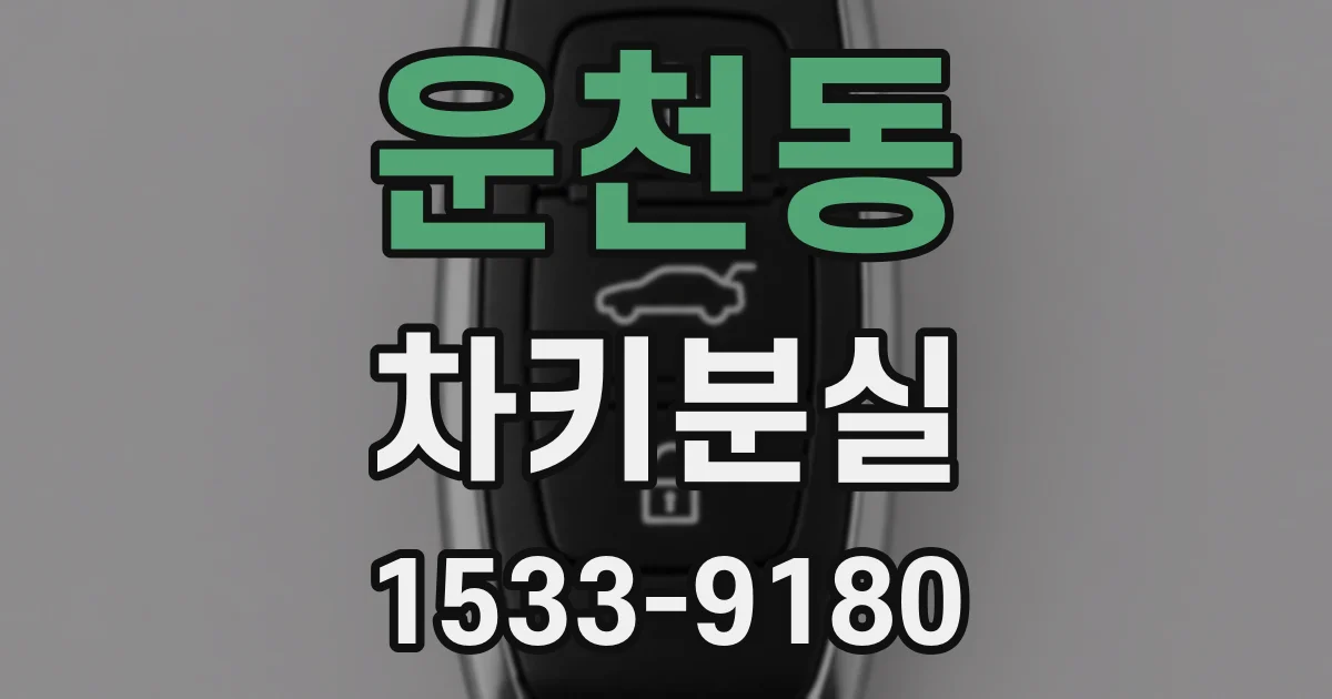 운천동 차키분실
