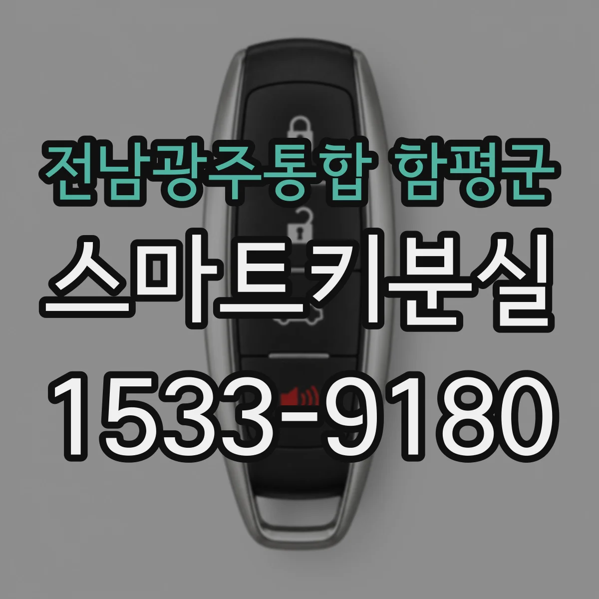 전남광주통합 함평군 스마트키분실
