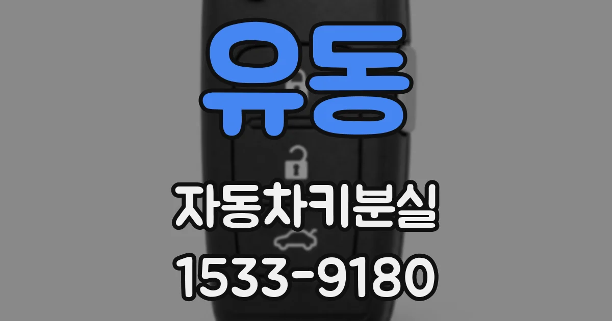 유동 자동차키분실
