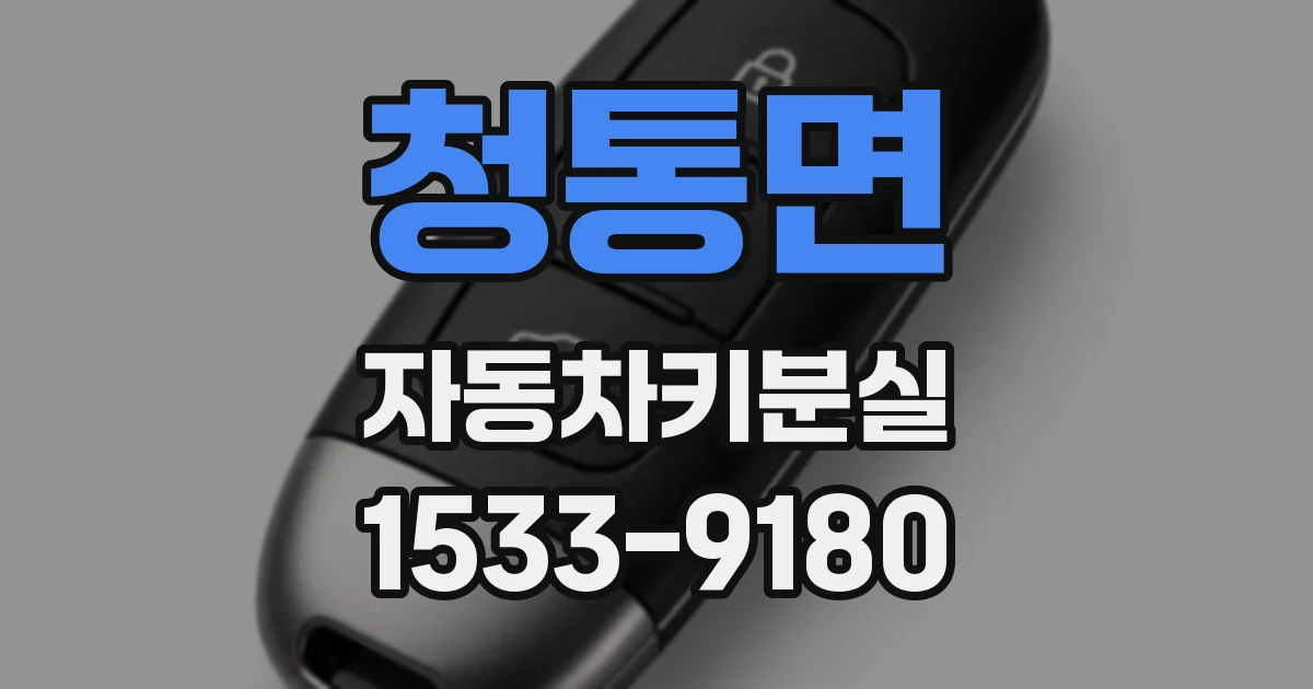 청통면 자동차키분실