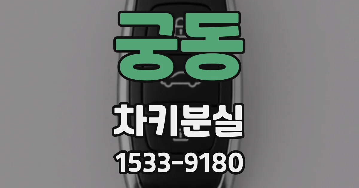 궁동 차키분실