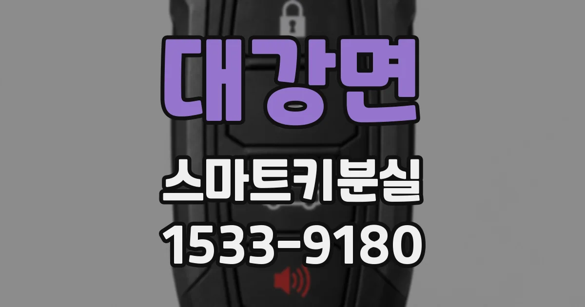 대강면 스마트키분실