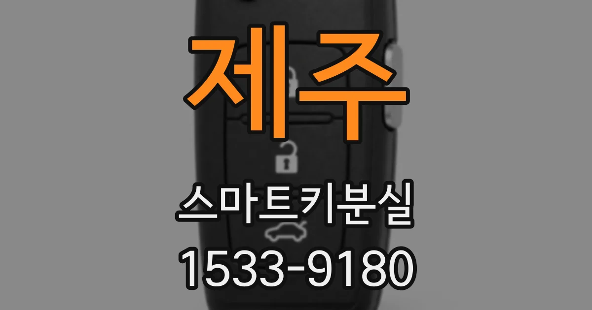 제주 스마트키분실