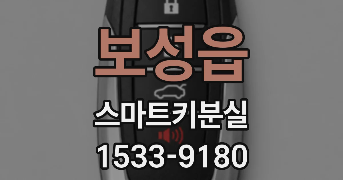 보성읍 스마트키분실