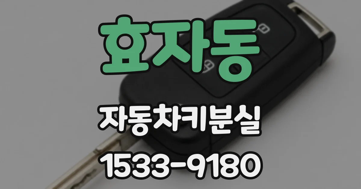 효자동 자동차키분실