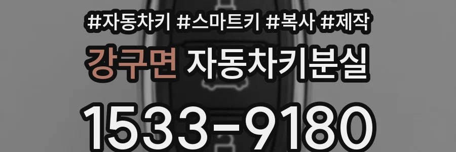 강구면 자동차키분실