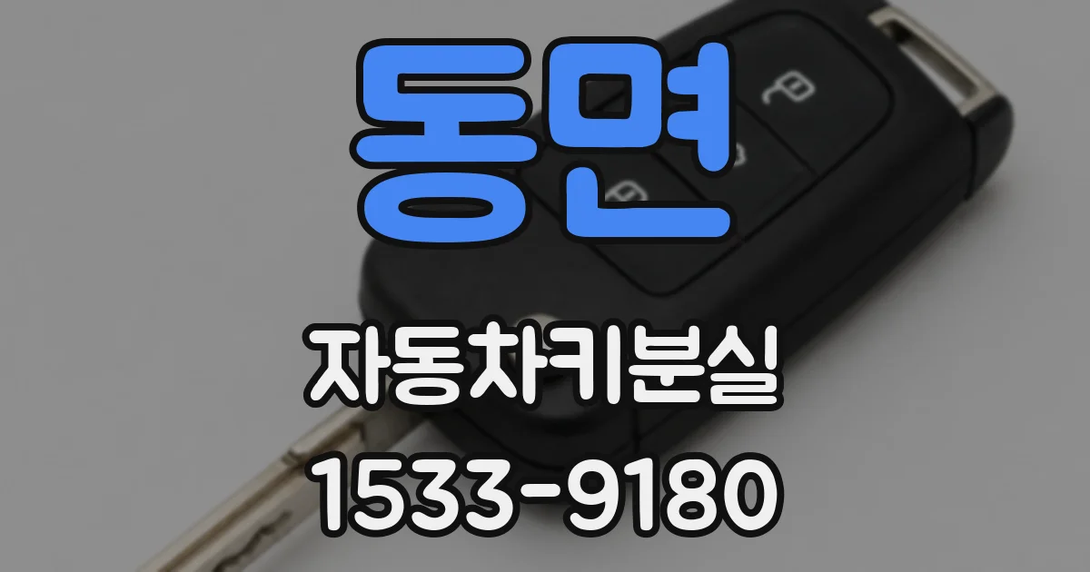 동면 자동차키분실