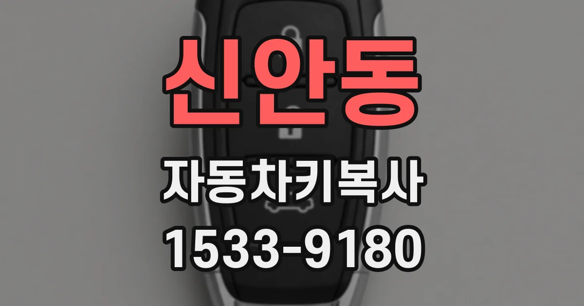 신안동 자동차키복사