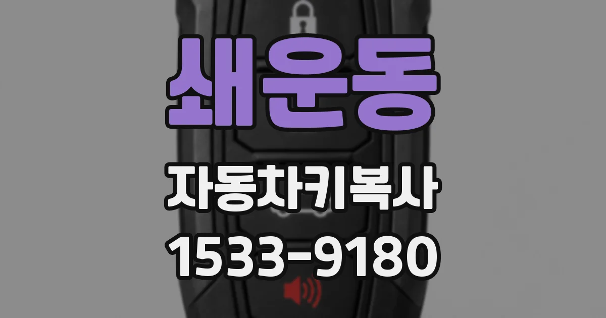 쇄운동 자동차키복사