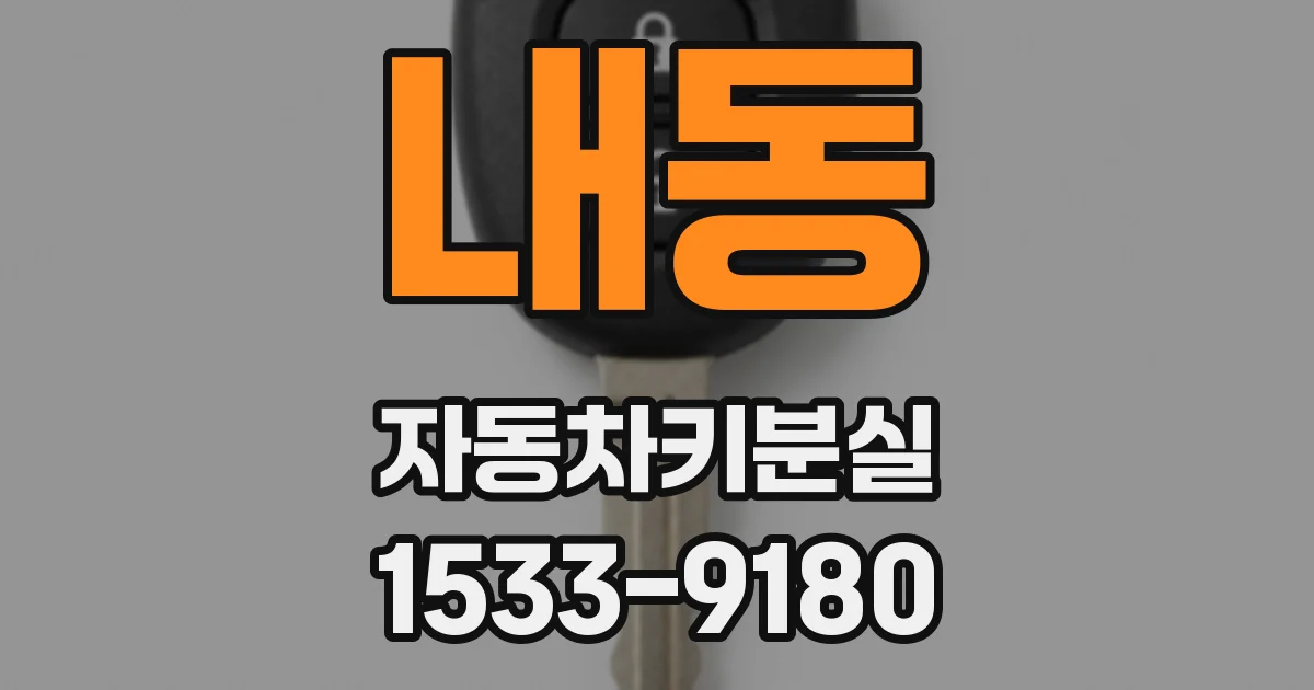 내동 자동차키분실