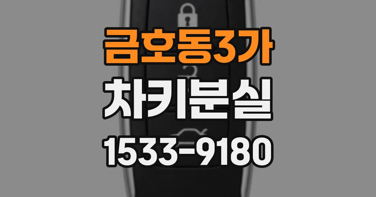 금호동3가 차키분실