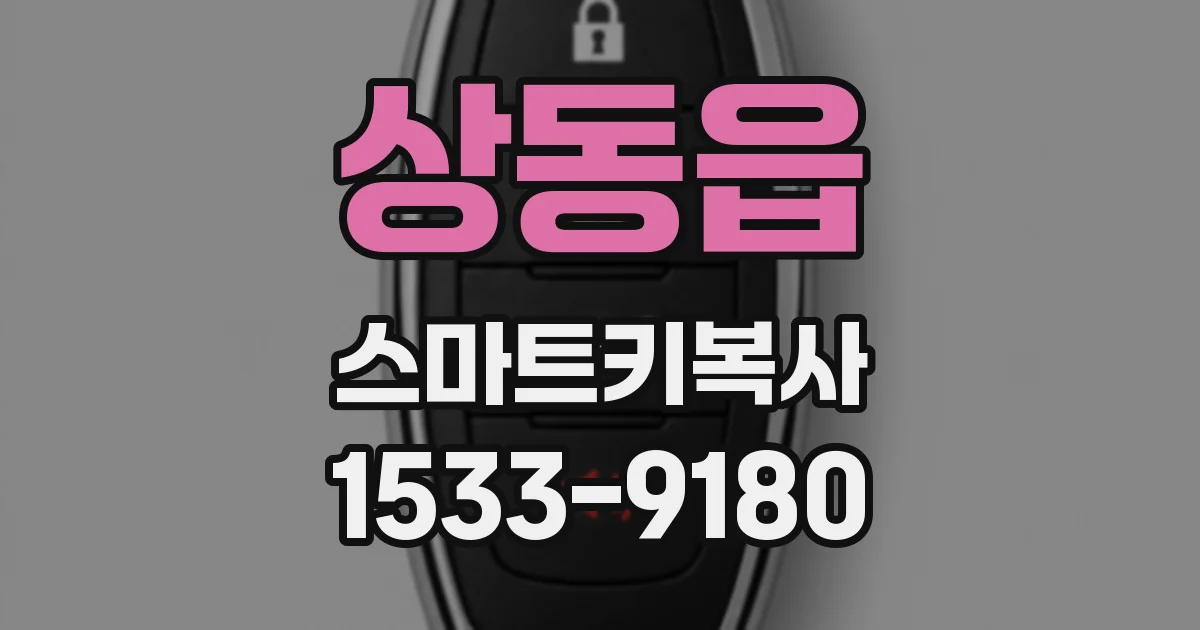 상동읍 스마트키복사