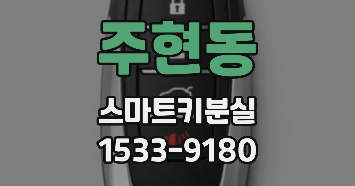 주현동 스마트키분실