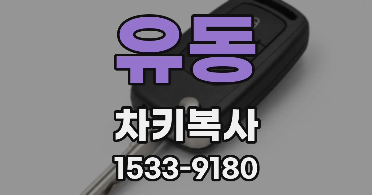 유동 차키복사