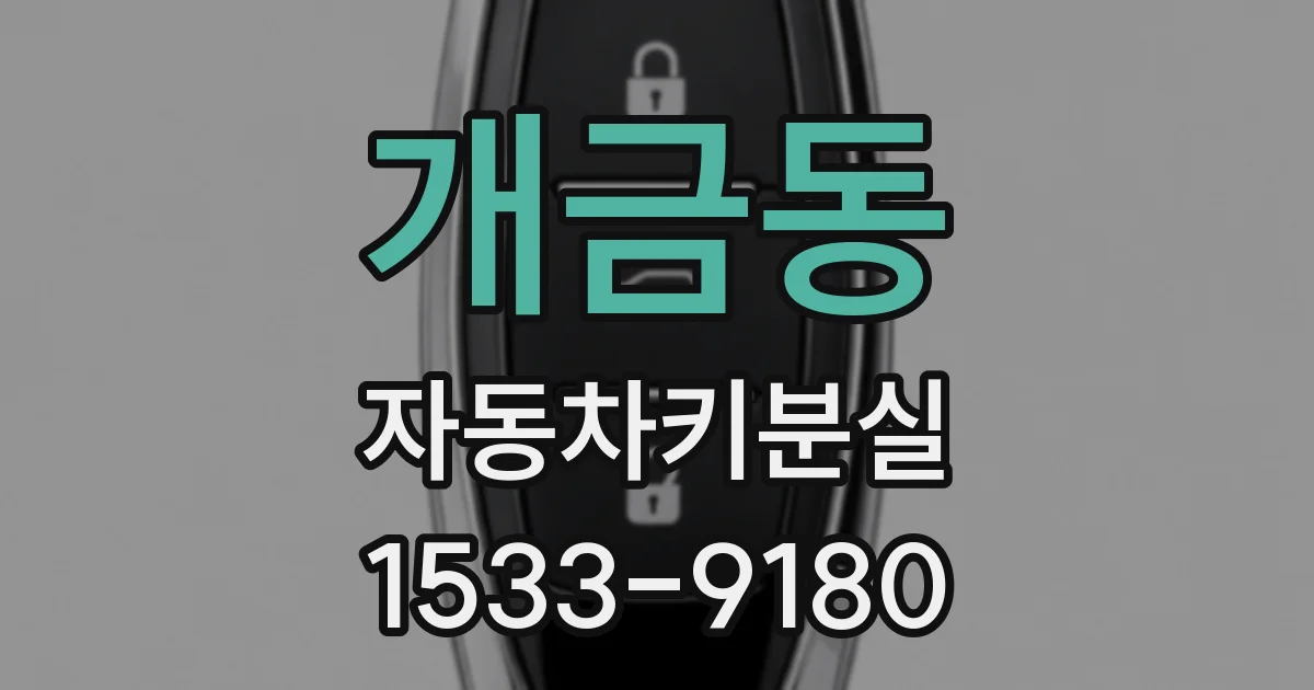 개금동 자동차키분실