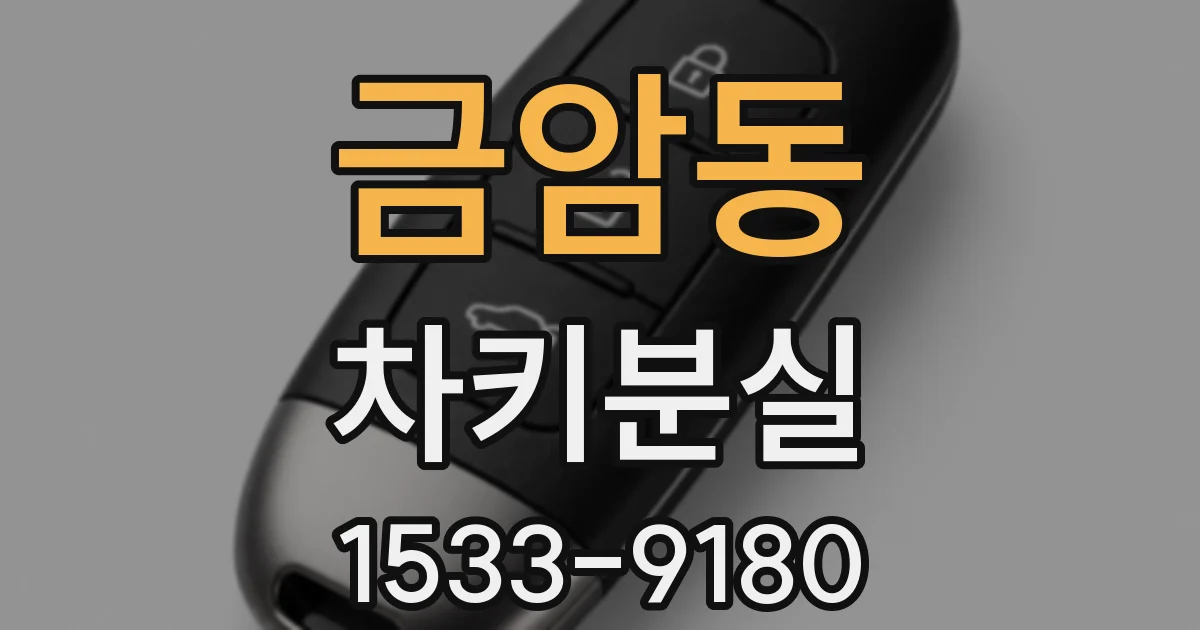 금암동 차키분실