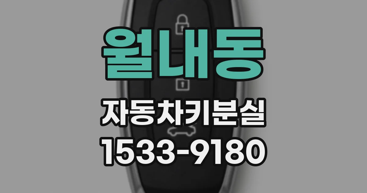 월내동 자동차키분실