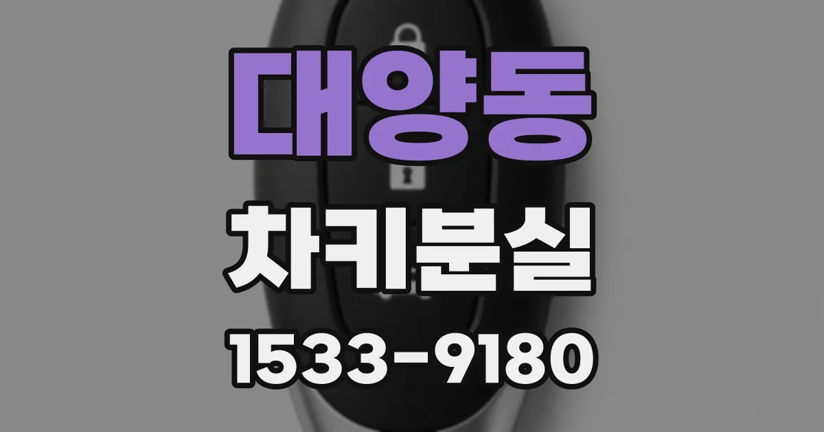 대양동 차키분실