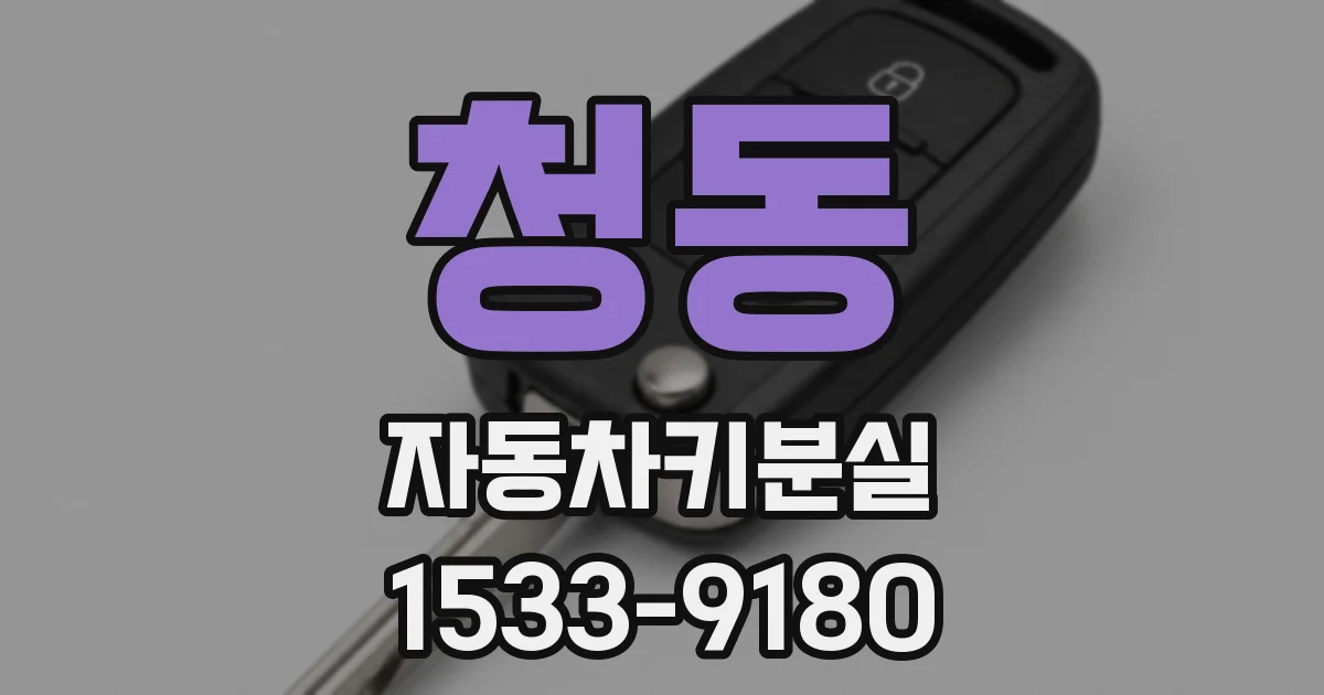 청동 자동차키분실