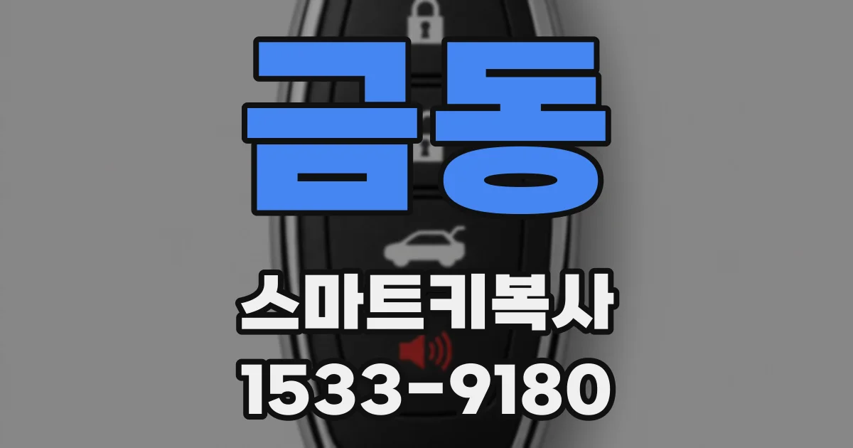 금동 스마트키복사