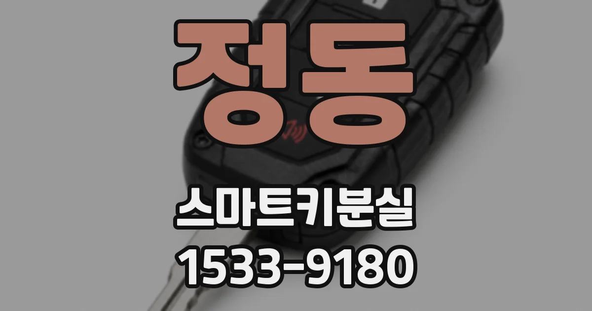 정동 스마트키분실
