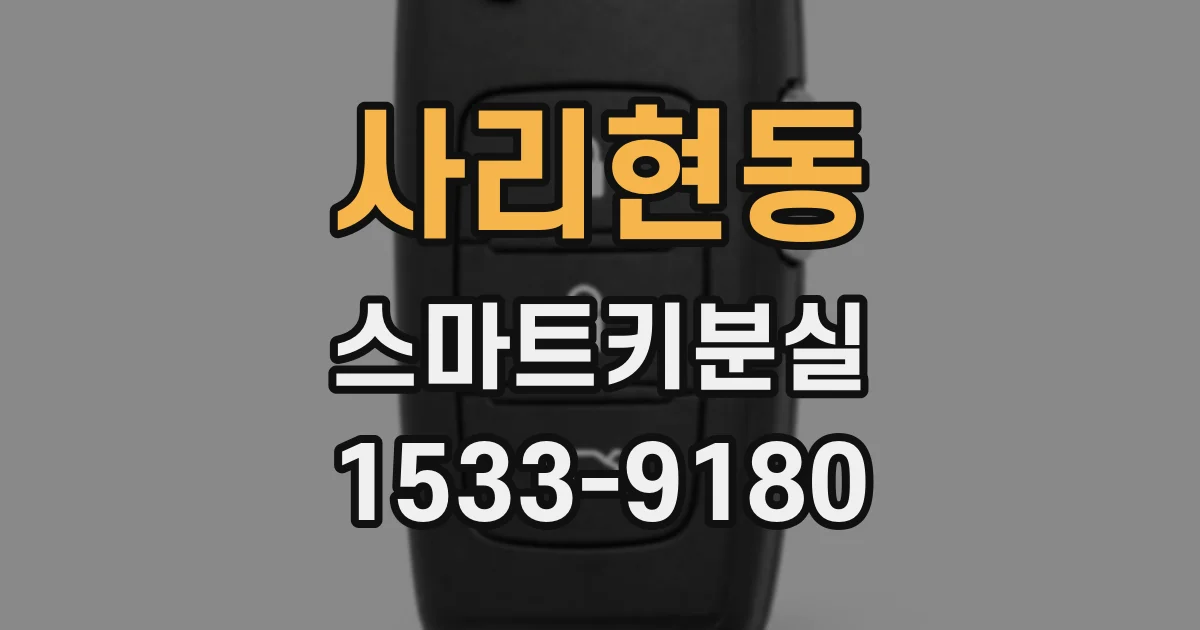 사리현동 스마트키분실