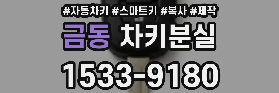 금동 차키분실