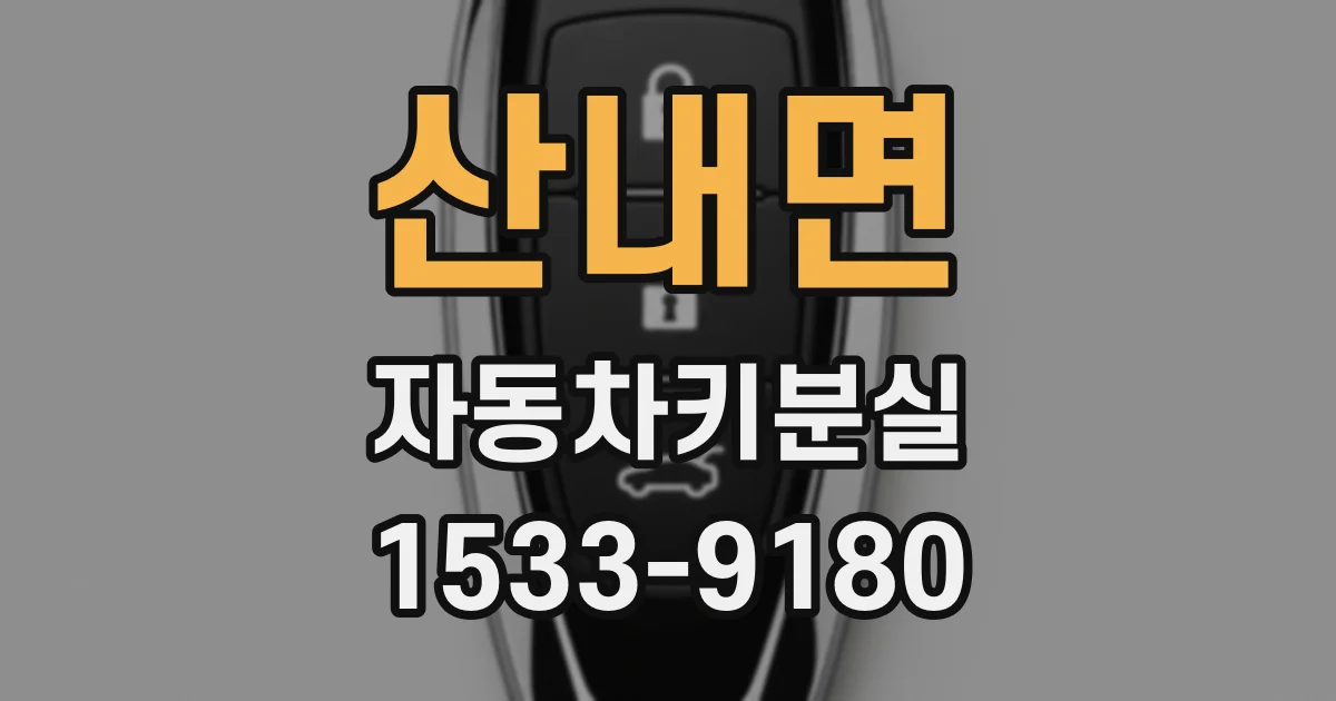 산내면 자동차키분실
