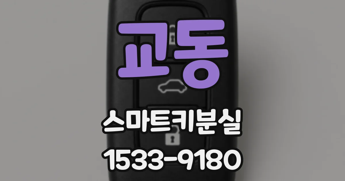 교동 스마트키분실