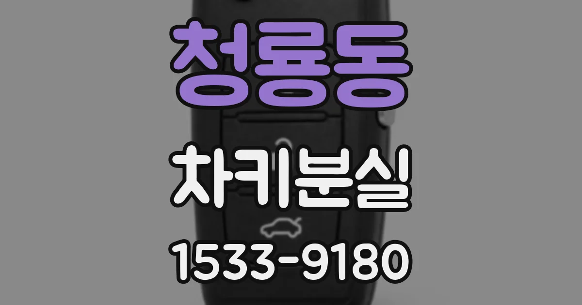 청룡동 차키분실