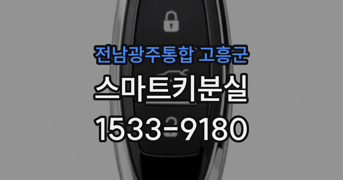 전남광주통합 고흥군 스마트키분실