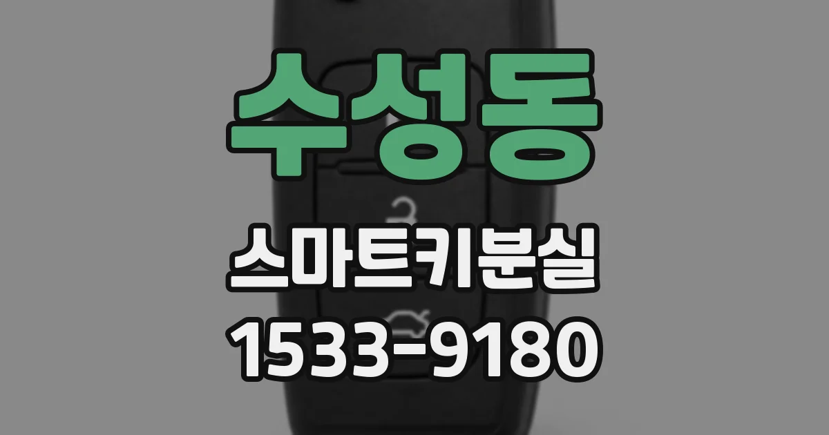 수성동 스마트키분실