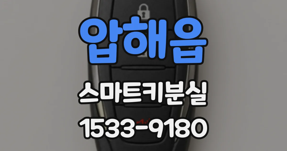 압해읍 스마트키분실