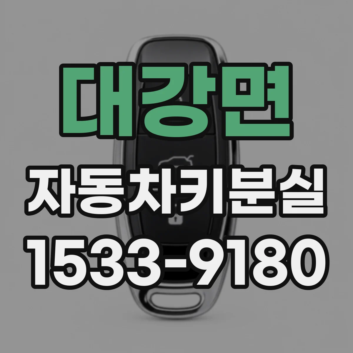 대강면 자동차키분실