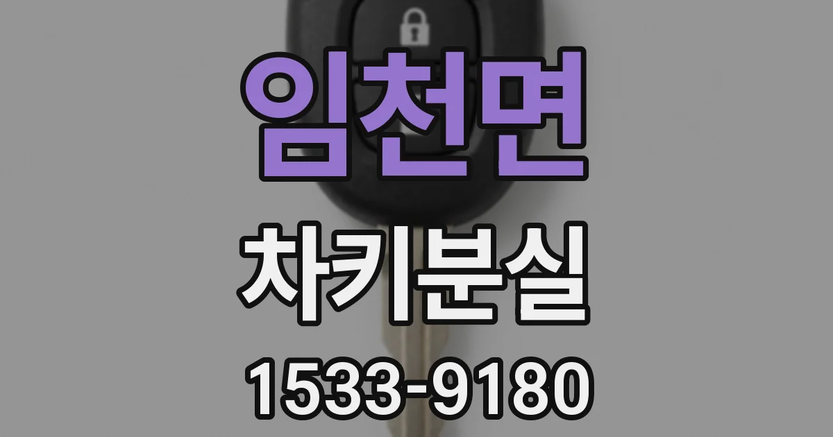 임천면 차키분실