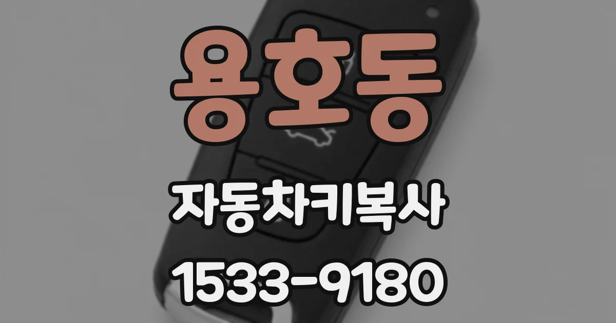 용호동 자동차키복사