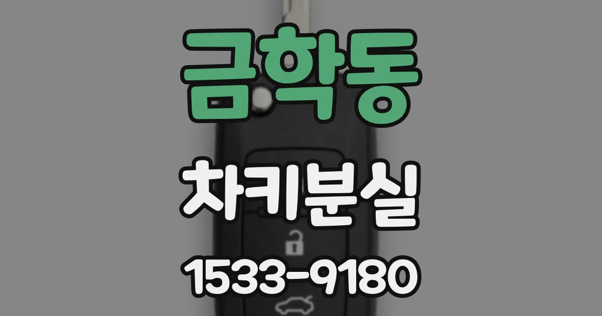 금학동 차키분실