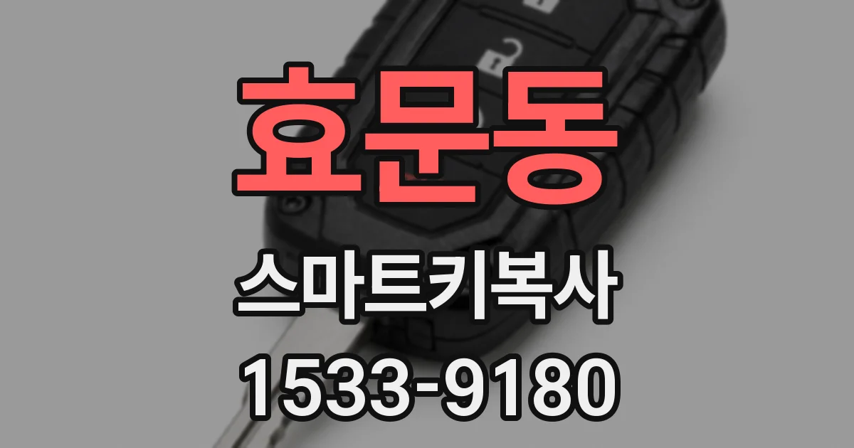 효문동 스마트키복사