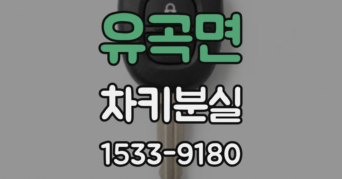 유곡면 차키분실