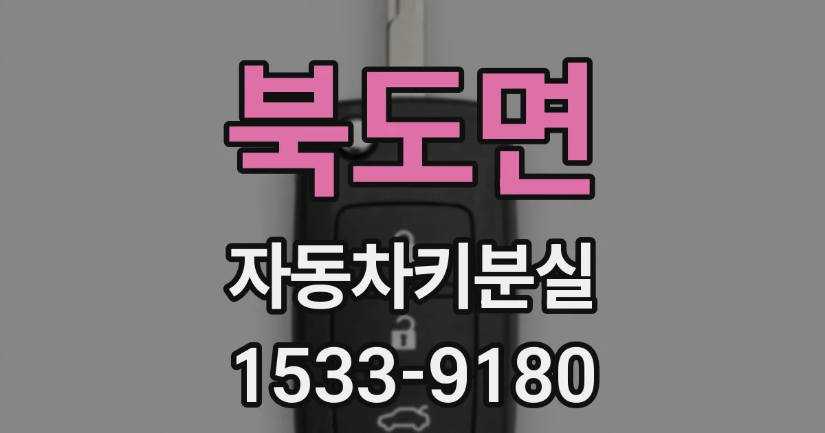 북도면 자동차키분실