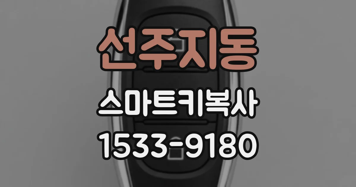 선주지동 스마트키복사