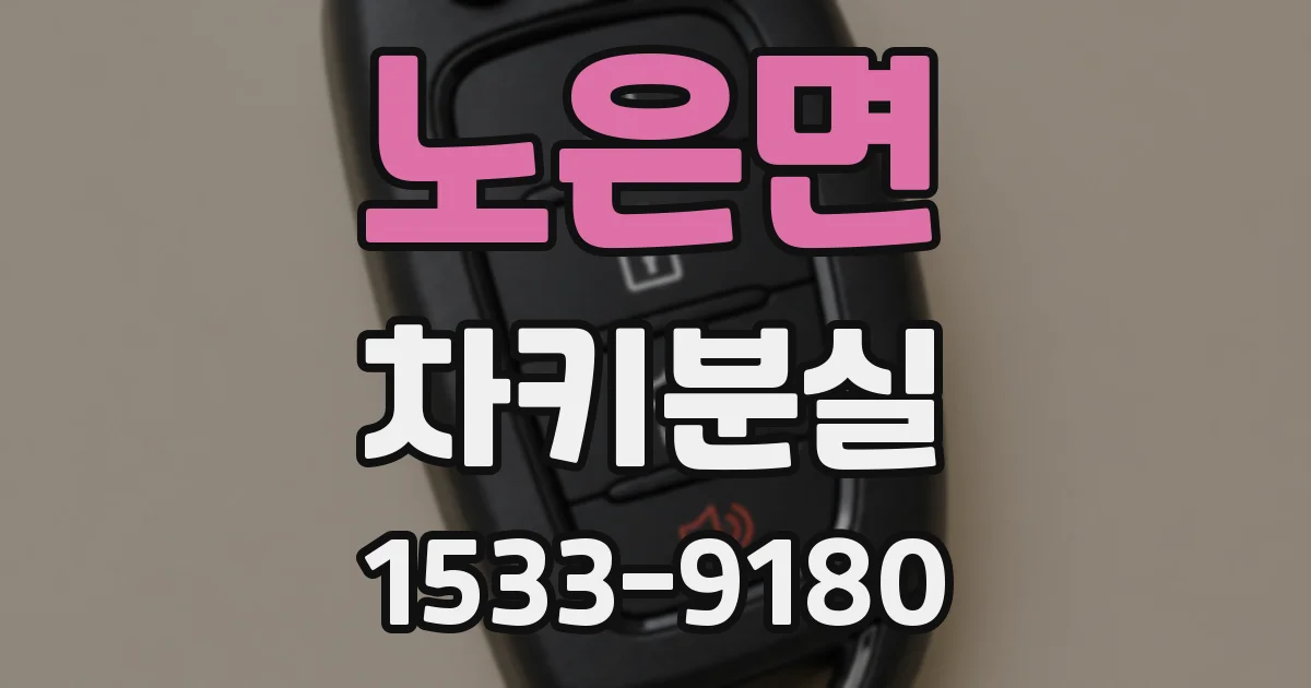 노은면 차키분실