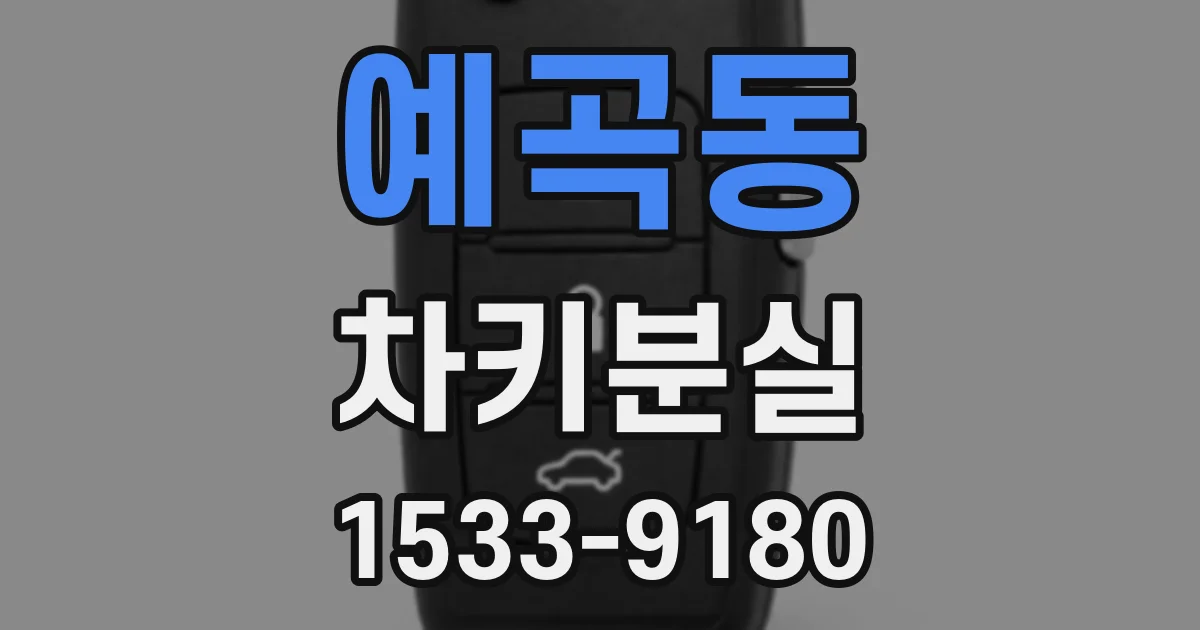 예곡동 차키분실