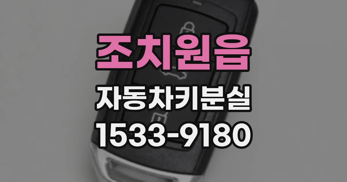 조치원읍 자동차키분실