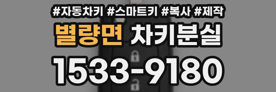 별량면 차키분실